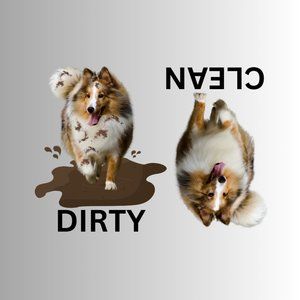 SHETLAND SHEEPDOG Clean Dirty Dishwasher Flexible Magnet